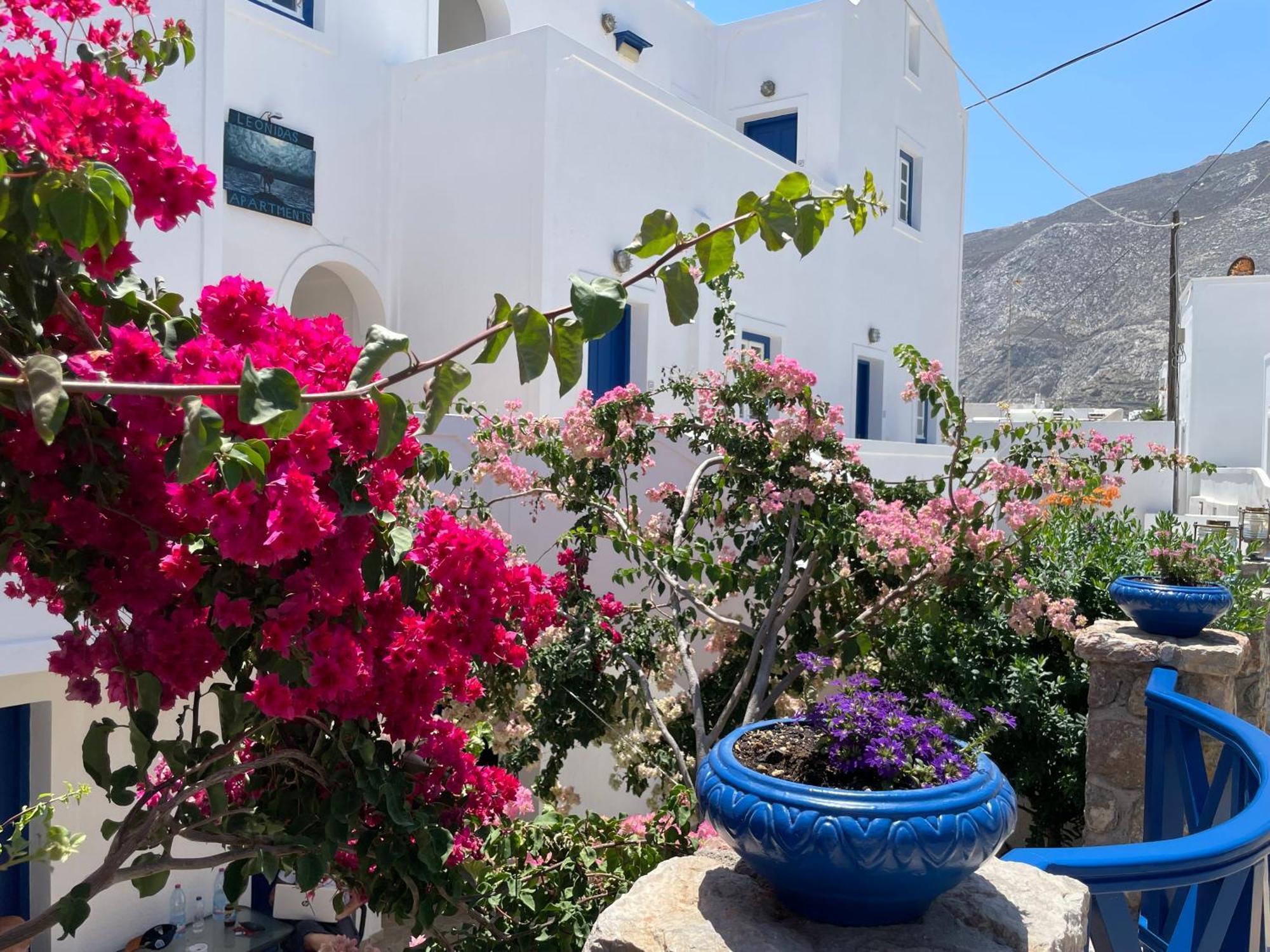 Kamári Leonidas Apartments المظهر الخارجي الصورة